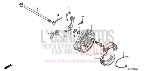 PANNEAU DE FREIN ARRIERE CRF50FA de 2010